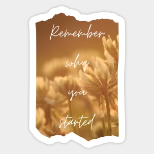 Remember Why You Started Inspirational Gift Motivational Sticker